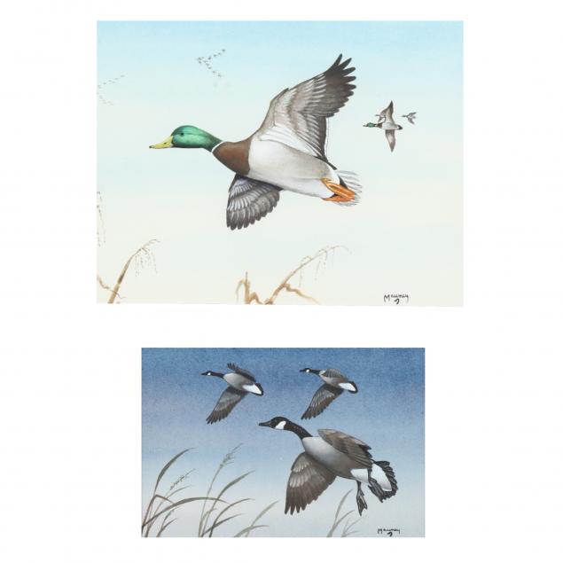 lee-mauney-american-mallards-and-geese-in-flight-two-works