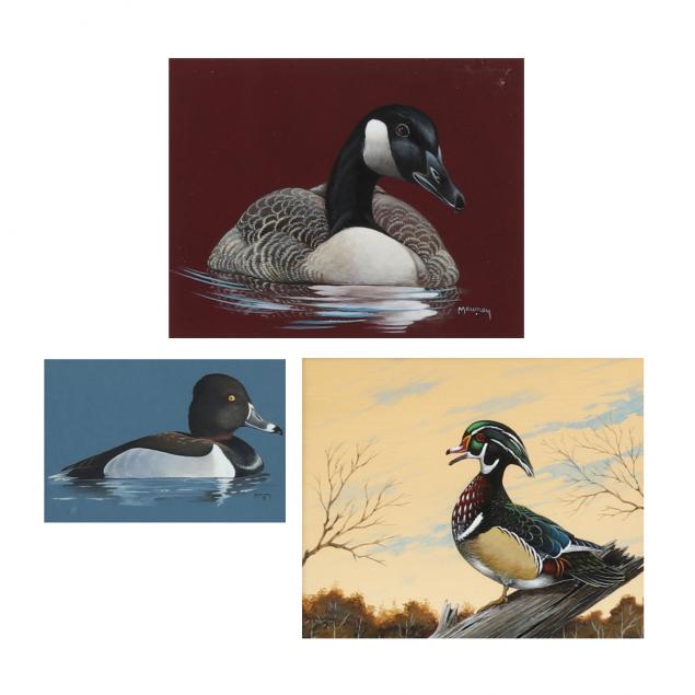 lee-mauney-american-ring-neck-wood-duck-goose-three-works