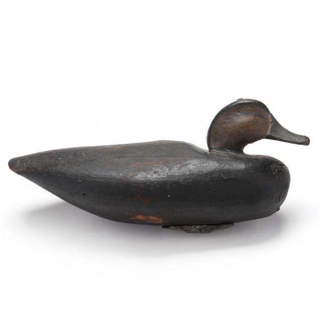 early-doughty-family-va-black-duck