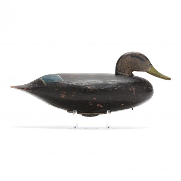 doug-jester-va-1876-1961-black-duck