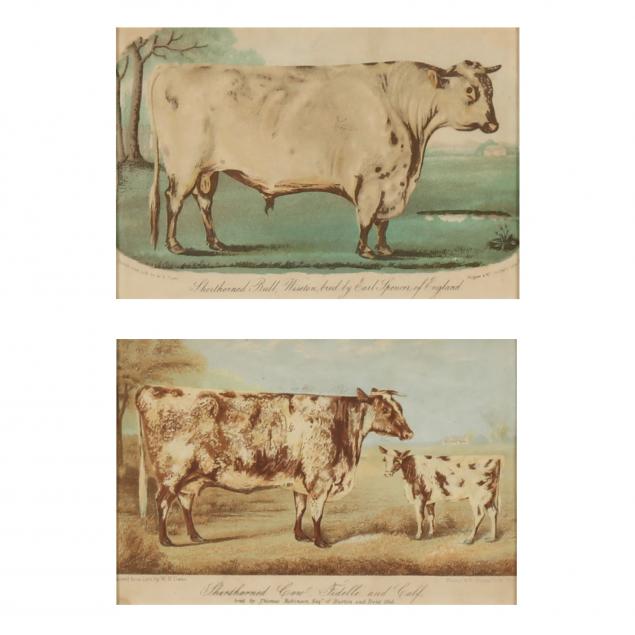 after-william-henry-davis-english-1786-95-1865-i-shorthorned-bull-shorthorned-cow-and-calf-i