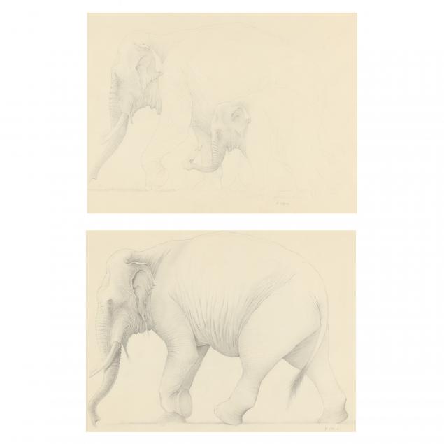 ryan-late-20th-century-pair-of-elephant-illustrations