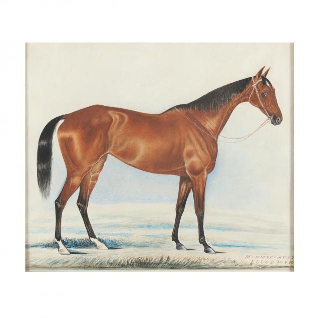 company-school-late-19th-century-portrait-of-a-horse