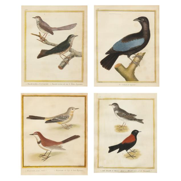 francois-nicolas-martinet-french-circa-1725-1804-four-ornithological-engravings-from-i-histoire-naturelle-des-oiseaux-i