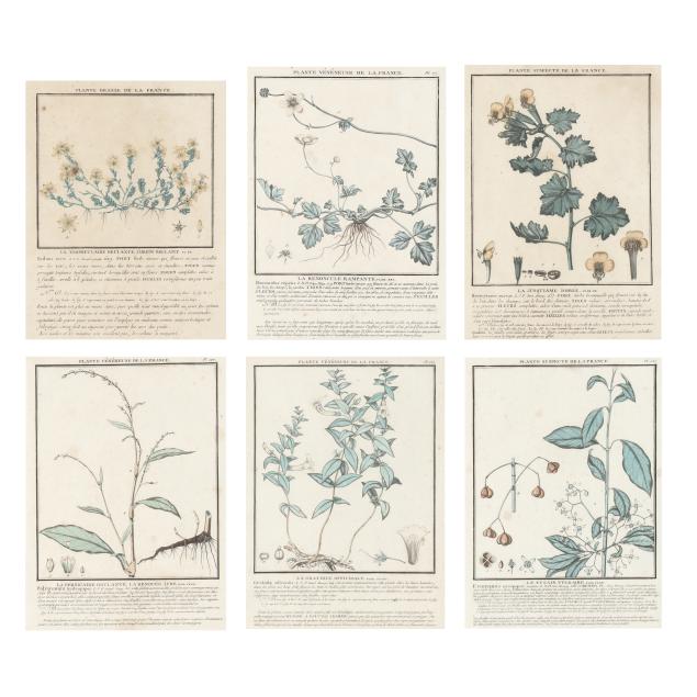 set-of-six-plates-from-i-herbier-de-la-france-histoire-des-plantes-veneneuses-et-suspectes-de-la-france-paris-i