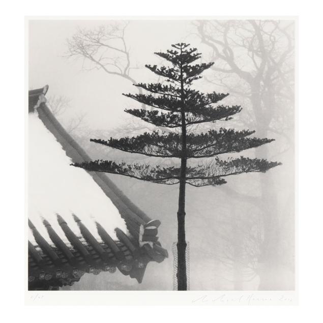 michael-kenna-british-american-b-1953-i-temple-tree-jonjaanjii-jeju-island-south-korea-i