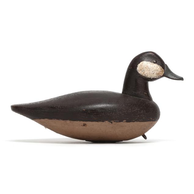 bud-coppedge-va-1943-2015-ruddy-duck