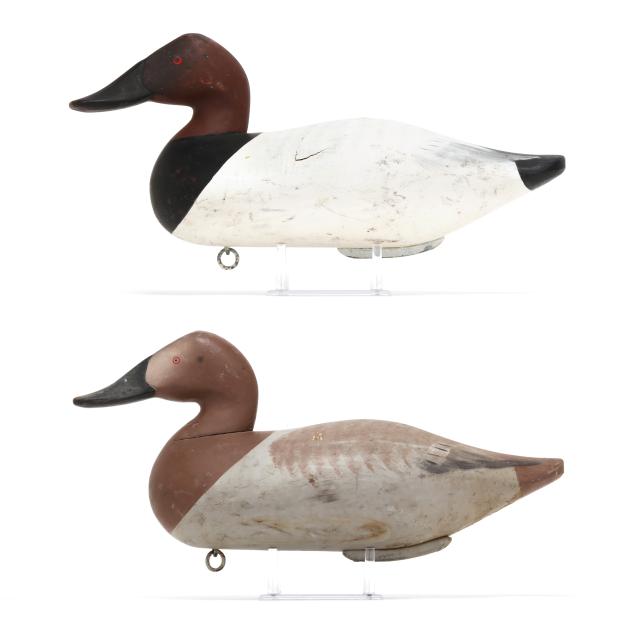 madison-mitchell-md-1901-1993-pair-of-canvasbacks