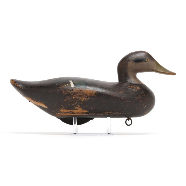 madison-mitchell-md-1901-1993-black-duck