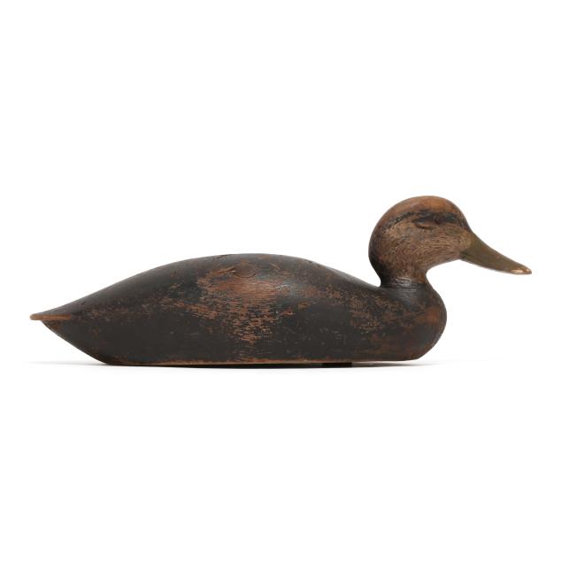 keyes-chadwick-ma-1865-1958-black-duck