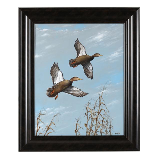 lee-mauney-american-pair-of-black-ducks-in-flight