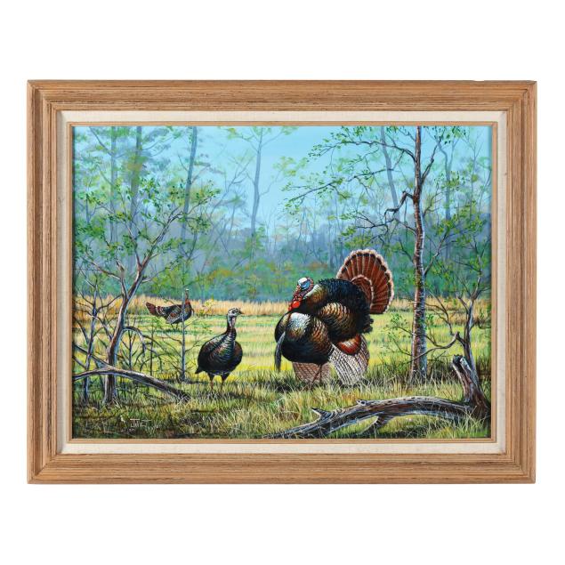 jake-taylor-nc-wild-turkeys