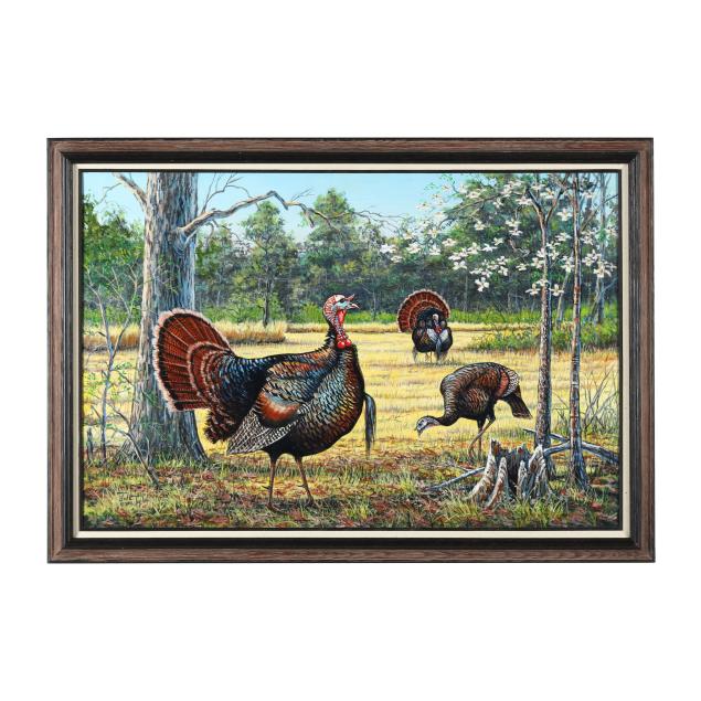 jake-taylor-nc-wild-turkeys-in-springtime