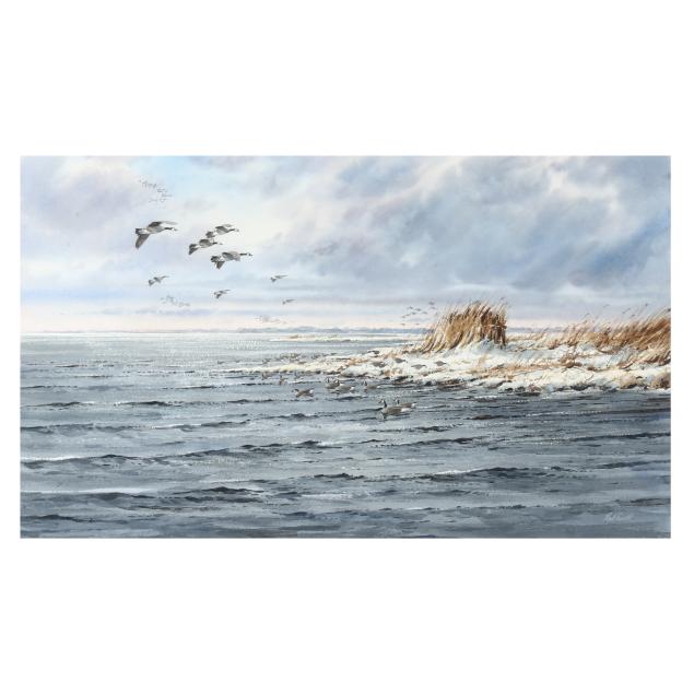 ned-ewell-md-winter-goose-shore-blind