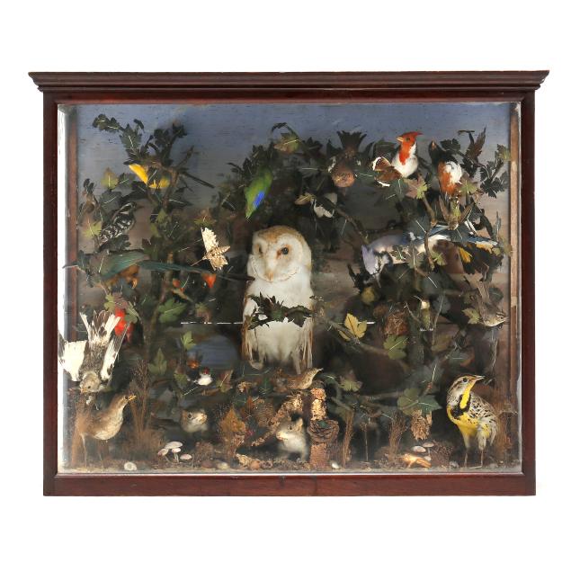 impressive-antique-naturalist-taxidermy-diorama-under-glass