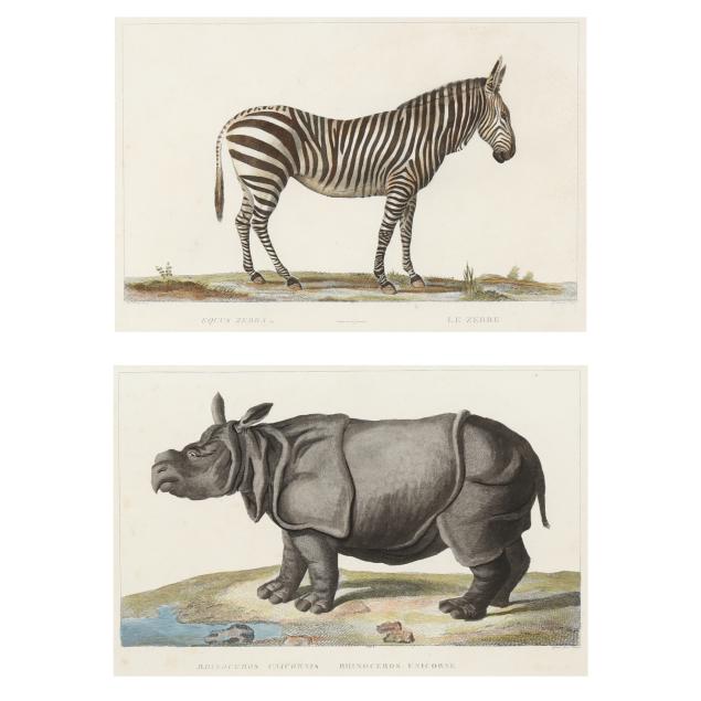 two-framed-engravings-of-a-zebra-and-rhinoceros