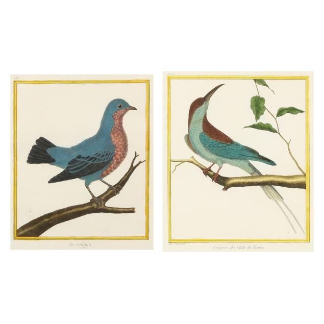 francois-nicolas-martinet-french-circa-1725-1804-two-engravings-from-i-histoire-naturelle-des-oiseaux-i