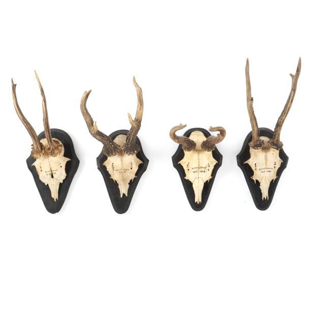 four-vintage-german-taxidermist-stag-mounts