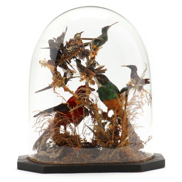 a-victorian-bird-diorama-under-cloche