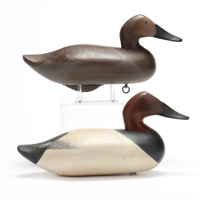 madison-mitchell-md-1901-1993-pair-of-canvasbacks