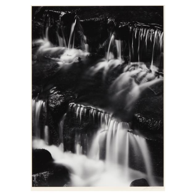 ansel-adams-american-1902-1984-i-fern-spring-dusk-yosemite-valley-california-i