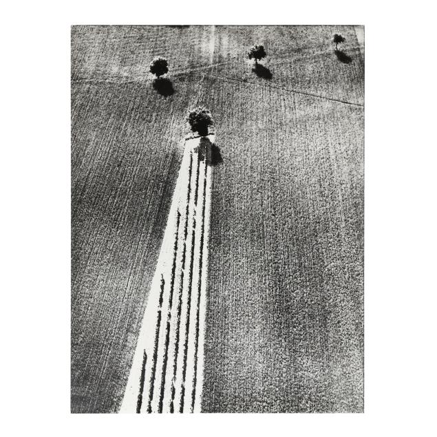 mario-giacomelli-italian-1925-2000-i-presa-di-cosienza-sulla-natura-epiphany-and-nature-i-1979