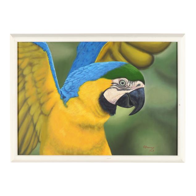 edna-araujo-brazilian-blue-and-gold-macaw