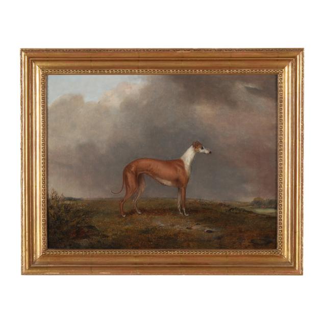 english-school-mid-19th-century-portrait-of-a-greyhound