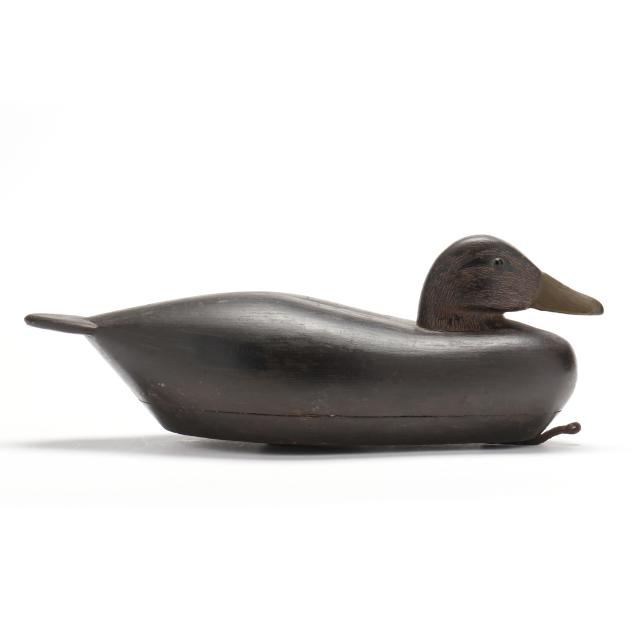 roswell-bliss-ct-1887-1967-black-duck