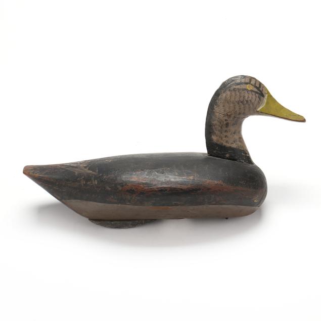 john-glenn-md-1876-1954-high-head-black-duck