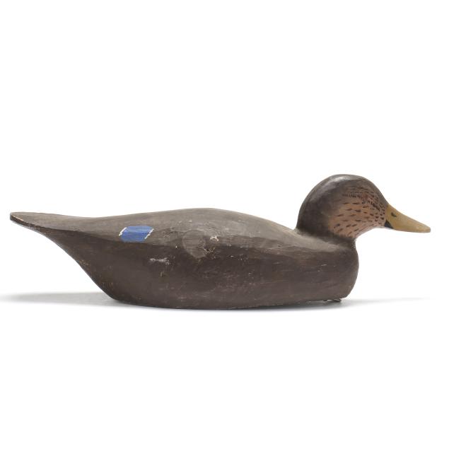 jimmy-bowden-va-black-duck