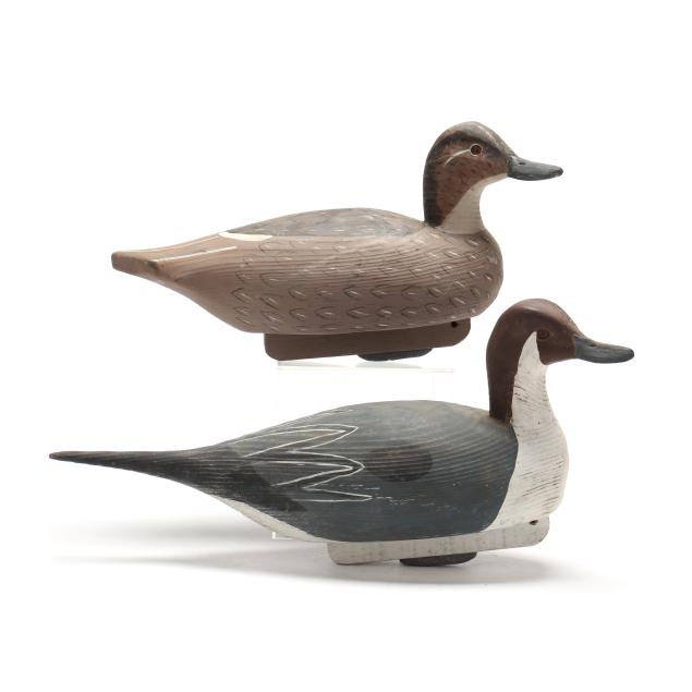 charles-fish-va-pair-of-pintails