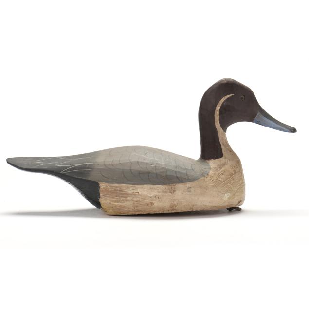 jimmy-bowden-va-pintail