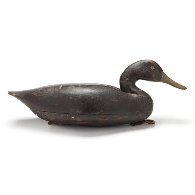 early-philadelphia-school-black-duck