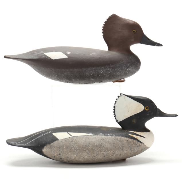 john-hamilton-nj-pair-of-hooded-mergansers