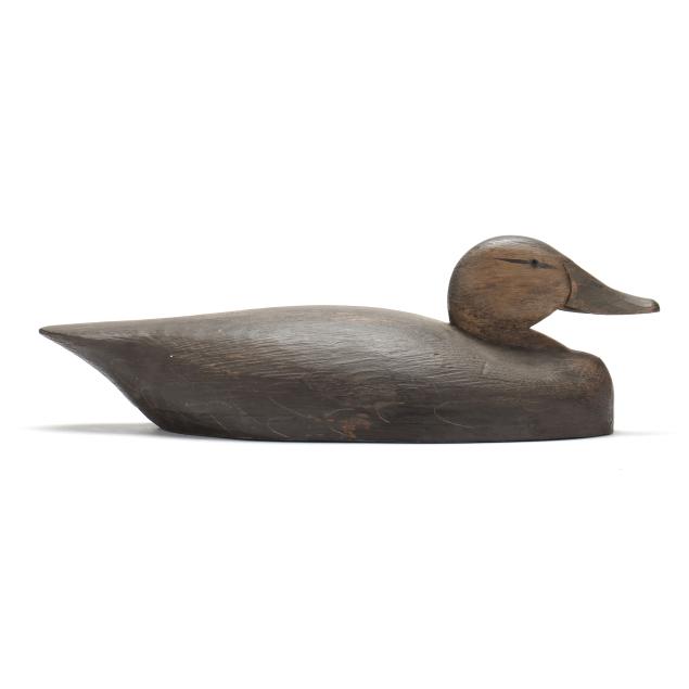 tom-martindale-canada-black-duck