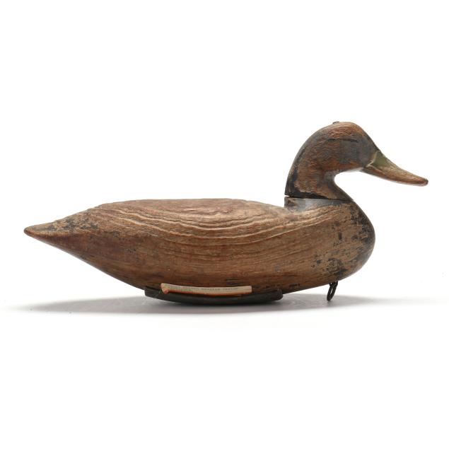 doug-jester-va-1876-1961-black-duck