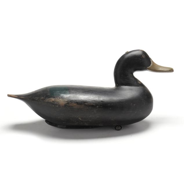 will-snake-heverin-md-1860-1951-black-duck