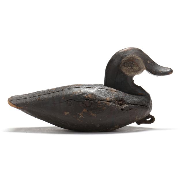 charlie-waterfield-nc-1881-1973-published-ruddy-duck