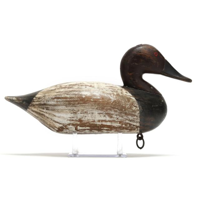 james-jim-holly-md-1855-1935-canvasback