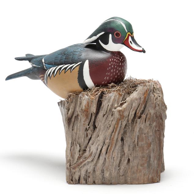 houston-lewis-nc-wood-duck