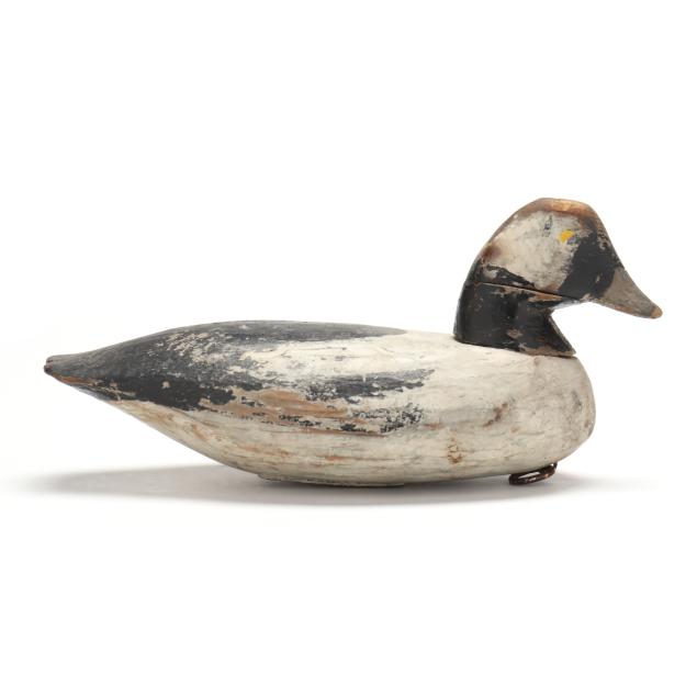 doug-jester-va-1876-1961-bufflehead