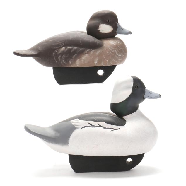 john-brooks-nc-pair-of-bufflehead