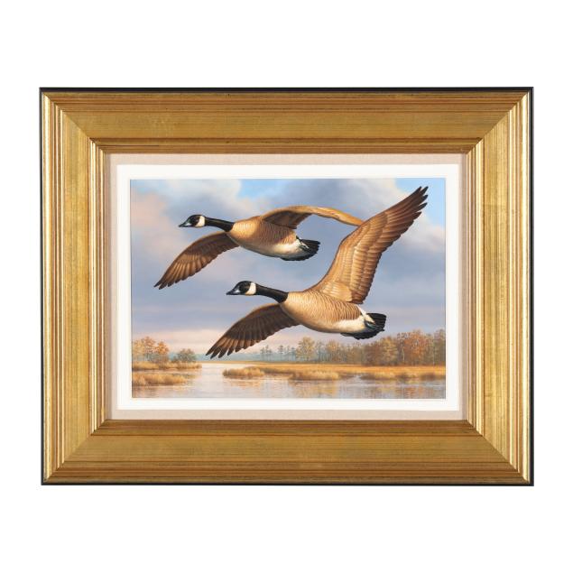 guy-crittenden-american-two-canada-geese-over-marshland