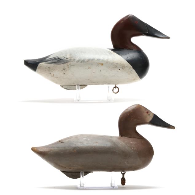 two-havre-de-grace-canvasbacks