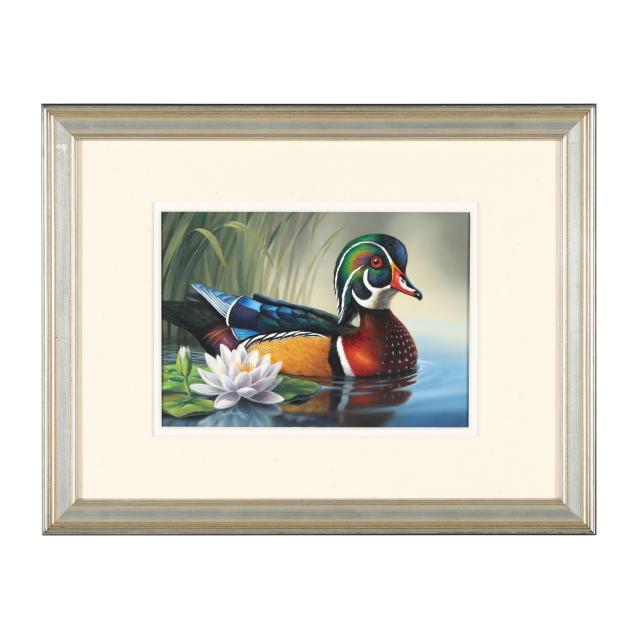 guy-crittenden-american-i-wood-duck-i