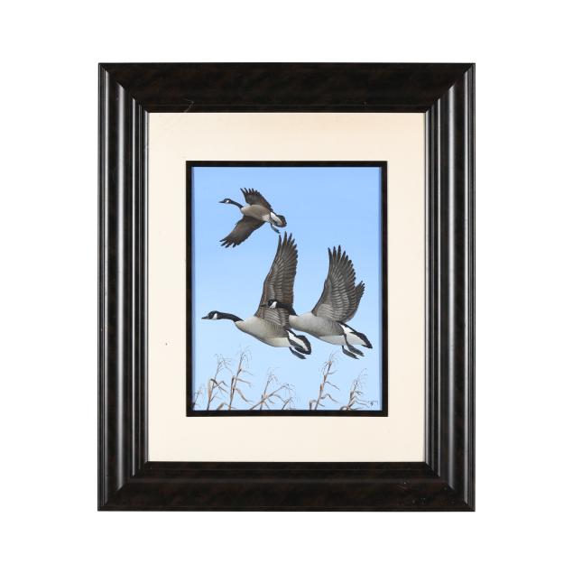 lee-mauney-american-geese-in-flight