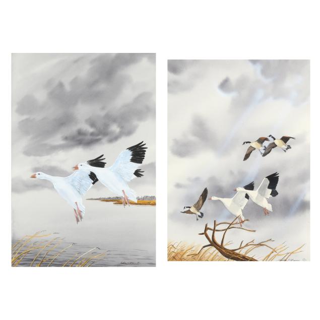 hudson-williams-nc-snow-geese-geese-in-flight-two-works