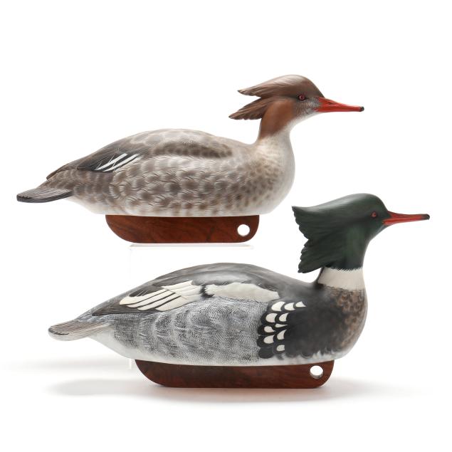 walter-brother-gaskill-nc-merganser-pair