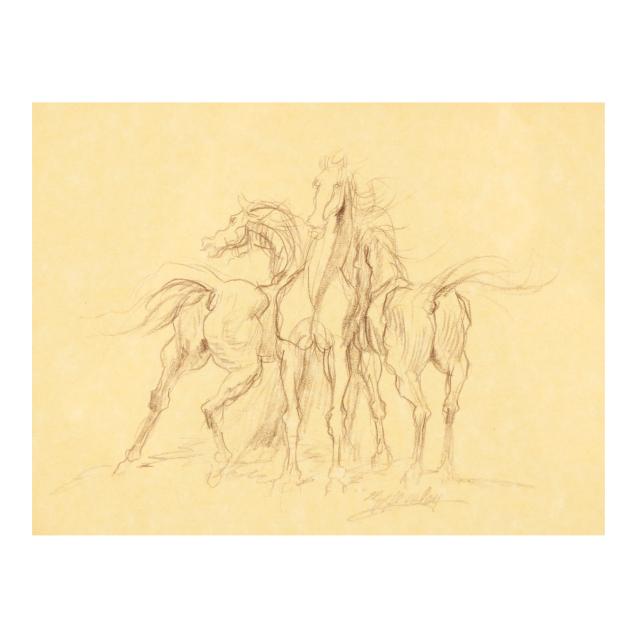 michael-m-hensley-american-equus-drawing